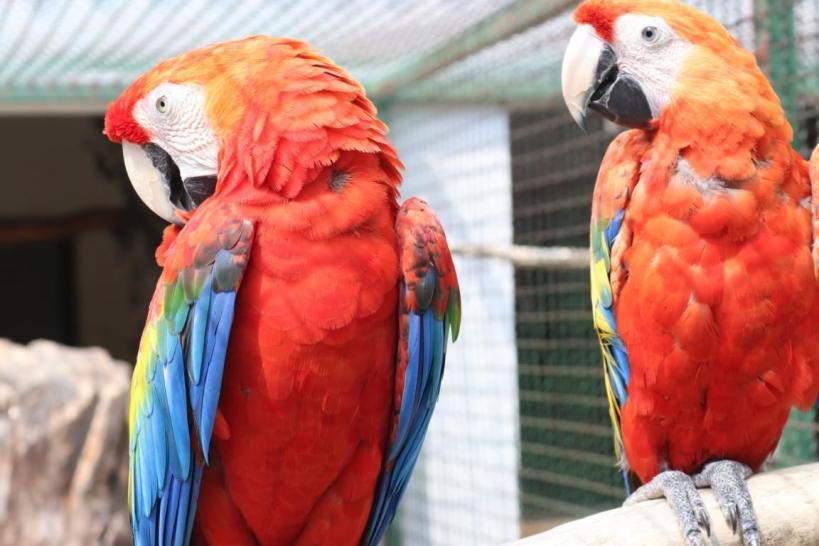 Wo Tierfreunde gerne einkehren